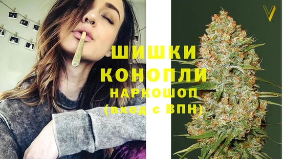 сатива Медногорск