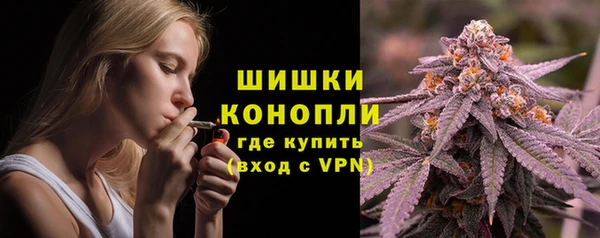 сатива Медногорск