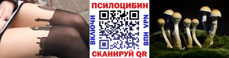Псилоцибиновые грибы Cubensis  Усть-Илимск 