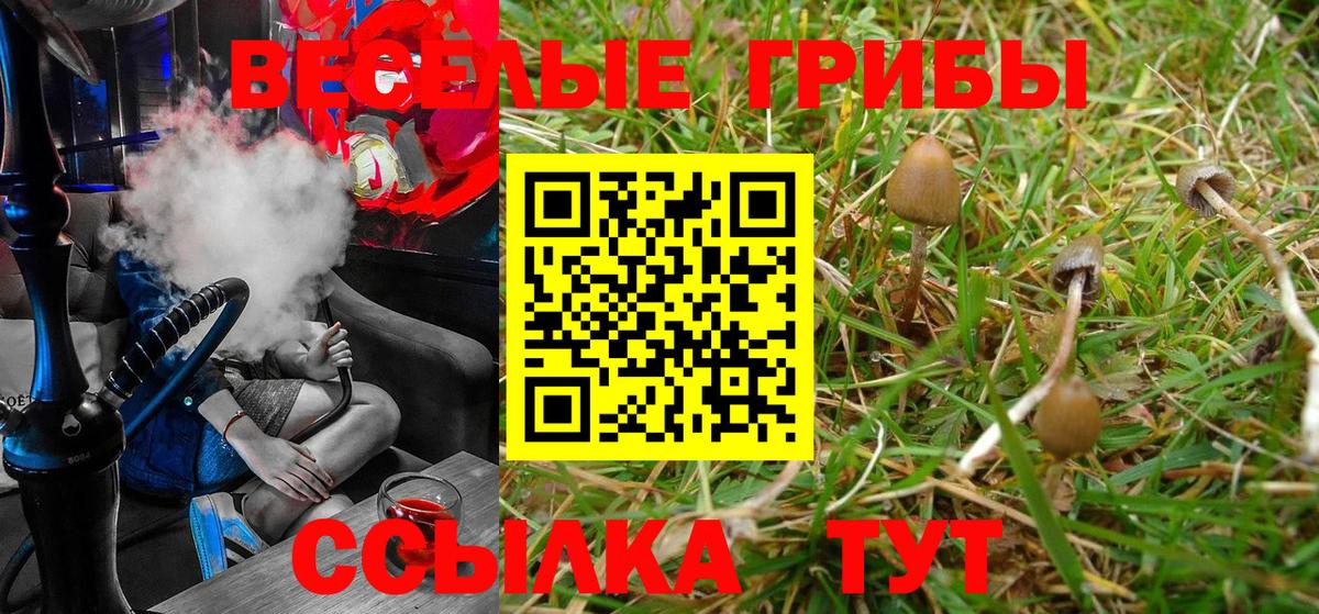 Псилоцибиновые грибы прущие грибы  Усть-Илимск 