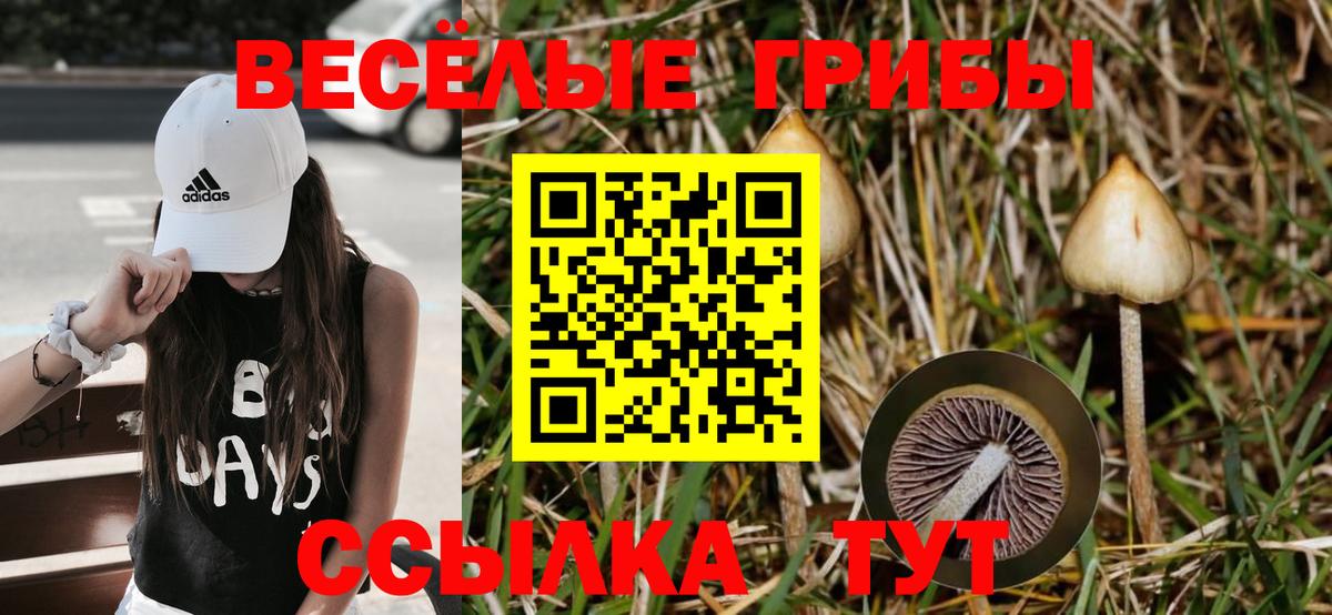 Псилоцибиновые грибы Psilocybine cubensis  Вход с VPN  Галлюциногенные грибы мухоморы  Усть-Илимск 