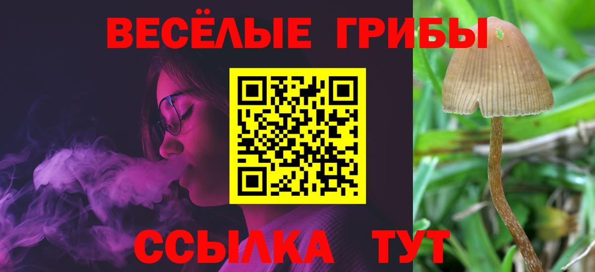 Псилоцибиновые грибы Magic Shrooms Усть-Илимск